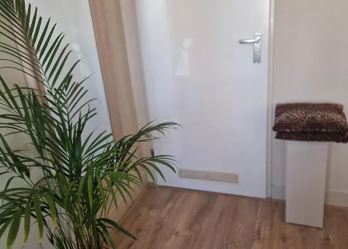 Pensionat Zee En Duinzicht 3*